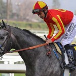 Midnight Hawk and Mike Smith returning to the frontside after winning the Sham Stakes (Photo courtesy of Eclipse Sportswire).